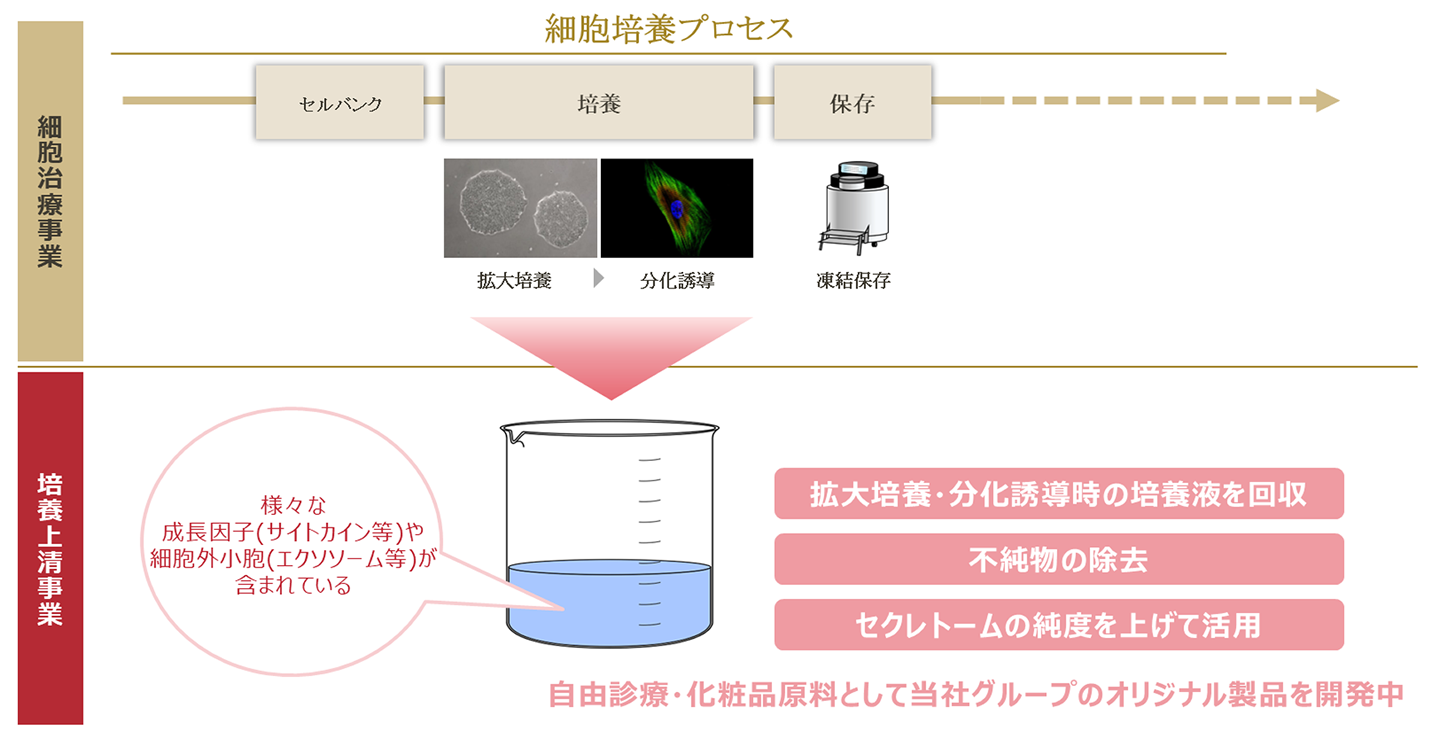 細胞培養プロセスイメージ